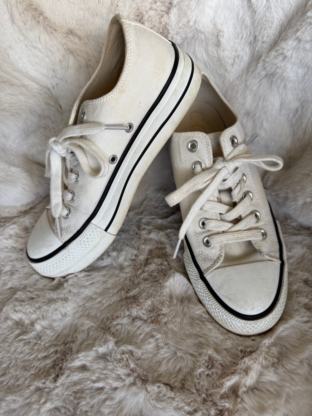 CCOCCI Off-White Canvas Low-Top Sneakers with Black Trim size 8.5 med